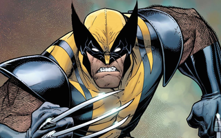 How Big Is a Wolverine Blokees