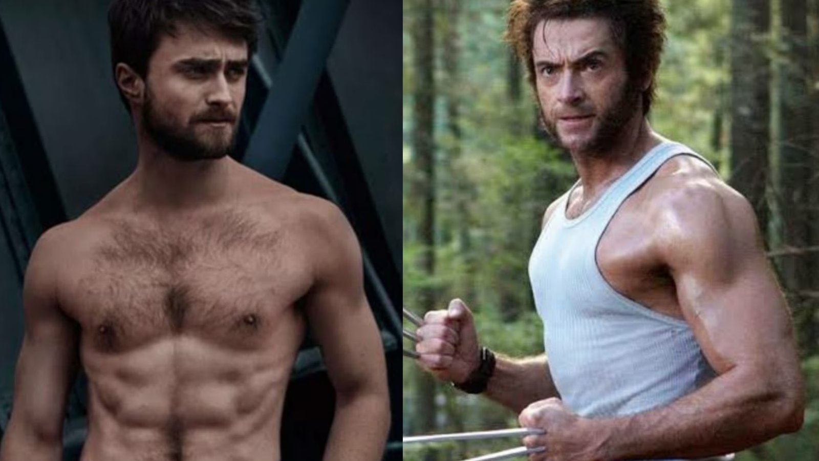 Daniel Radcliffe Wolverine Rumors Explained for Marvel Fans Blokees
