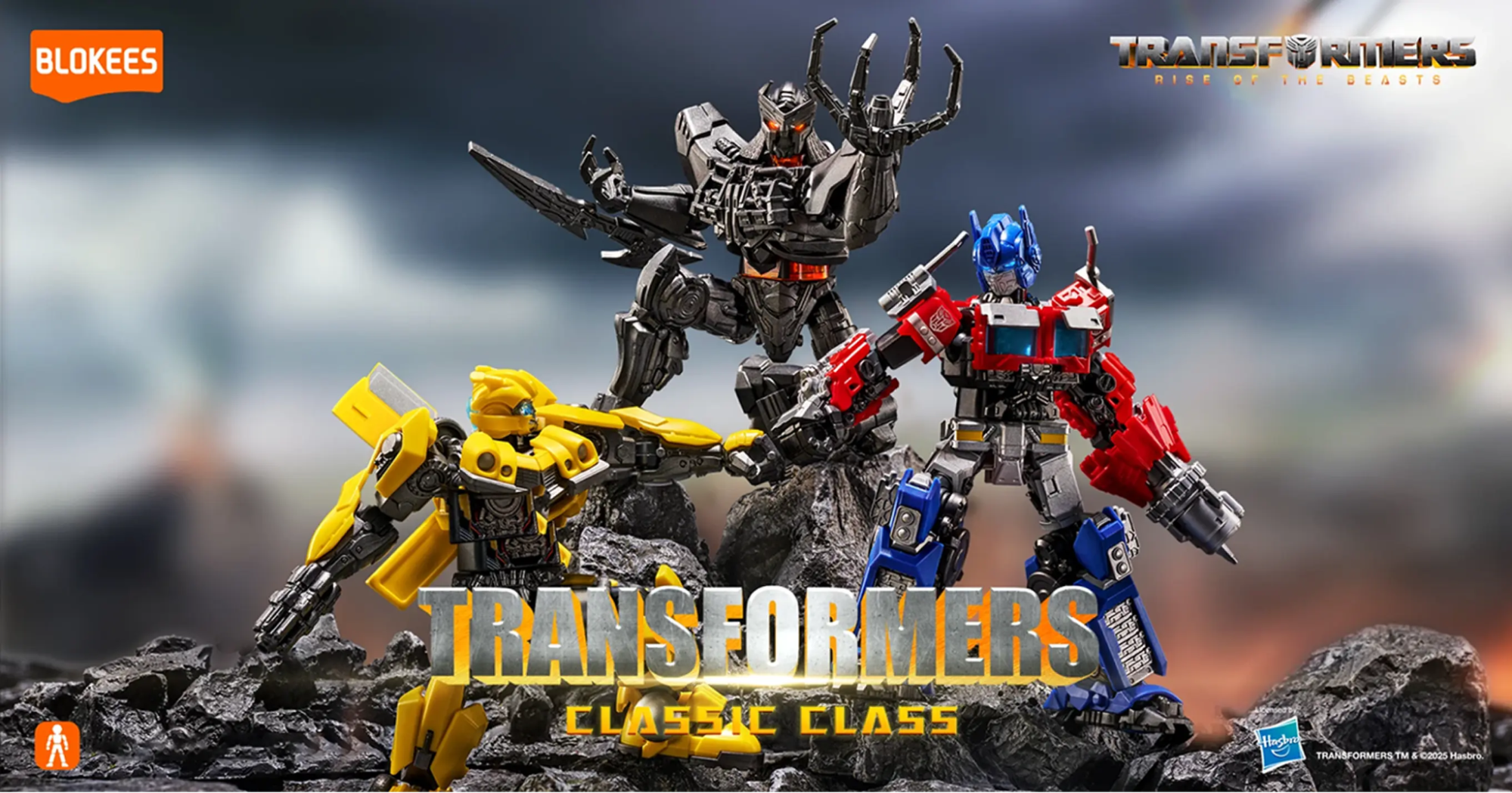 Surprise-Box-vs-Complete-Set-Calm-Buyer-s-Guide Blokees