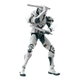 Champion Class
