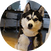 block.avatar_image.alt
