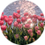 block.avatar_image.alt