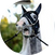 block.avatar_image.alt