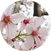 block.avatar_image.alt