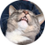 block.avatar_image.alt