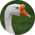 block.avatar_image.alt