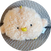 block.avatar_image.alt