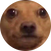 block.avatar_image.alt