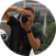 block.avatar_image.alt