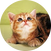 block.avatar_image.alt