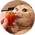 block.avatar_image.alt