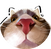 block.avatar_image.alt