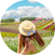 block.avatar_image.alt