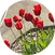 block.avatar_image.alt