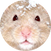 block.avatar_image.alt