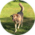 block.avatar_image.alt