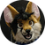 block.avatar_image.alt