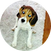 block.avatar_image.alt